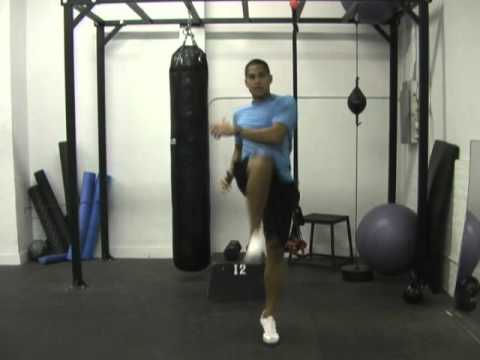 Circuit Workout using TT Olympic Fat Loss Workout B