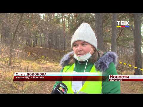 В Искитиме прошло первенство города по спортивному туризму на пешеходных дистанциях