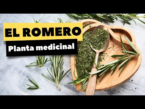al preguntar «¿para qué asuntos importantes sirve el catalán