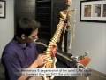 Sciatica Nerve Sciatica Nerve