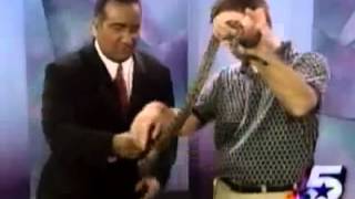 Dallas Funny News - Lizard Jumps on News Guy