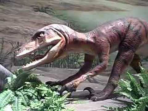 Coupon code for dinosaur exhibit