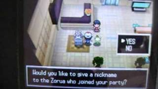 How to get Zorua? - Pokemon Black Version.