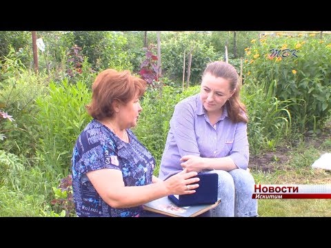 Медаль «За любовь и верность» вручили семье Капля из Искитима Медаль «За любовь и верность» вручили семье Капля из Искитима