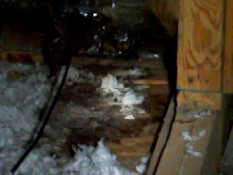 Fort Worth Home Inspection Discovers Roof Damage | 817-928-3270 | CALL US!