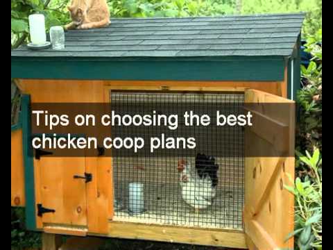 ... coop plans | Download quick easy to build homemade chicken coop plans