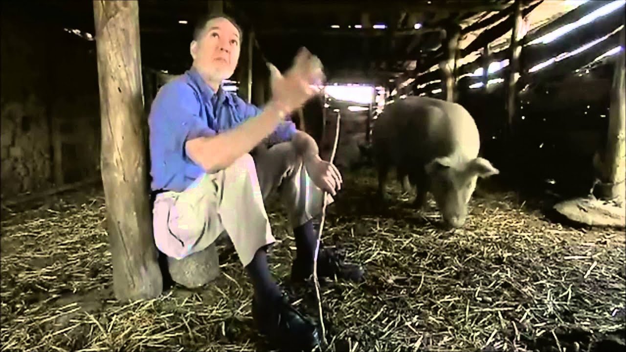 guns germs and steel episode 3 into the tropics Guns, germs, and steel (2005) into the tropics f guns, germs and steel allowed europeans to colonize vast tracts of the globe within a few months, this subtitle had evolved into 'a short history of everybody for the last 13,000 years. guns germs and steel episode 3 into the tropics Guns, germs, and steel (2005) into the tropics f guns, germs and steel allowed europeans to colonize vast tracts of the globe within a few months, this subtitle had evolved into 'a short history of everybody for the last 13,000 years.