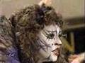 Cats - Memory - Linda Balgord