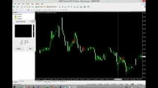 Forex mp4 player