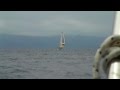 Envoi Spi asymétrique by Jeu de mer. C'est pas triste!!!!