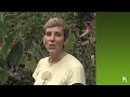 How to garden: Weeding, dead heading and staking gardening basics