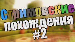 Стримовские похождения #2 - Игра на ваш выбор!