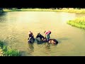 Swimming with horses