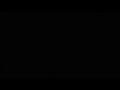 Shaun The Sheep & Flock Dance