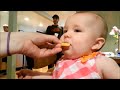 Babies tastes Lemon Compilation #1