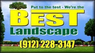 Lawn Care Savannah GA | Best Landscape | Lawn Care Service Savannah GA