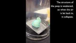 What happens if you expose a Peep to vacuum?