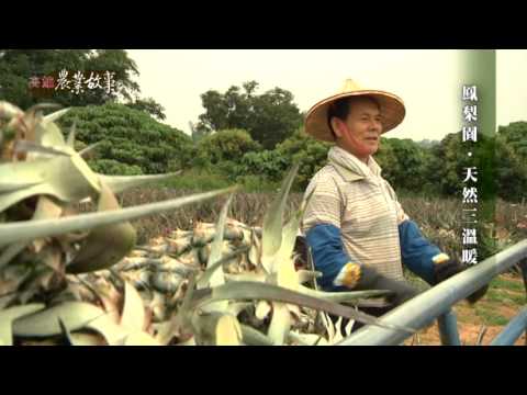 高雄農業故事館-鳳梨(影片長度:16分45秒) 高雄農業故事館-鳳梨(影片長度:16分45秒)