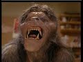 American Werewolf in London - Complete Transformation