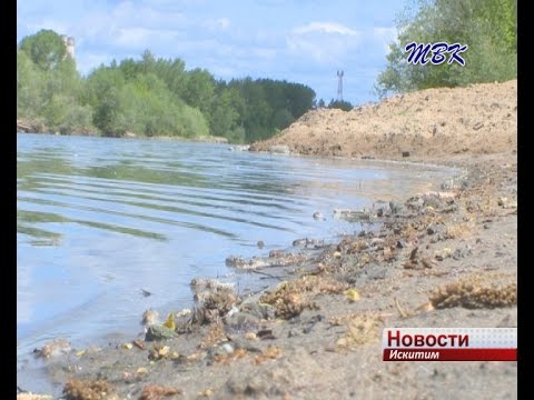 В летнем сезоне на водоемах Искитима погибли 2 человека