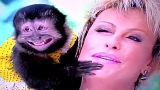 Ana Maria Braga apanha da MACACA