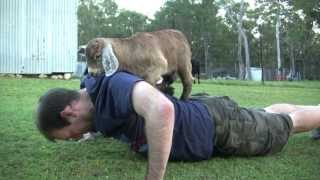 Baby Goat Push-ups