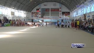 Бердские спортсмены отметили день гимнастики