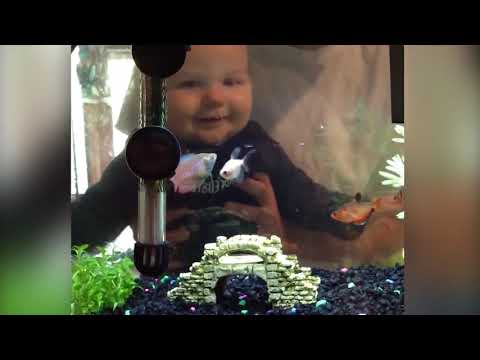 Top 10 FUNNY KIDS AND FISH BECOME BEST FRIEND | Funny Babies and Pets