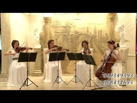 Cvartetul de coarde “Paradis” 