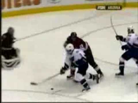 eishockey checks eishockey checks