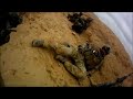 Special Forces Firefight Ended By JDAMs
