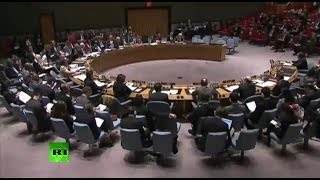 Совет безопасности ООН по Украине 29-30 апреля 2014