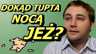 Dokąd Tupta Jeż? - Okruchy Ogarniętości