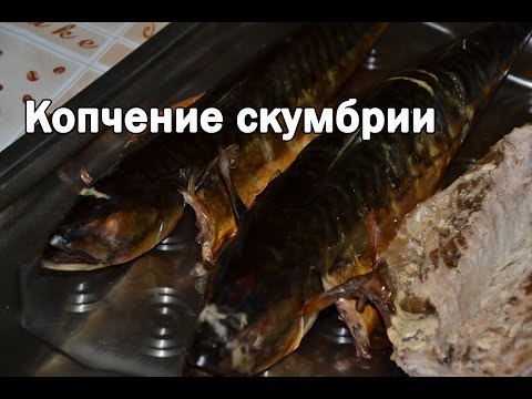 Коптильня холодного копчения видео на ютубе