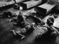 Gli effetti del disastro di Chernobyl....flv