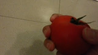 Wash my tomato