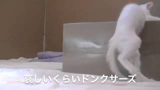 くるねこ大和　20140601　壁外の調査兵団2