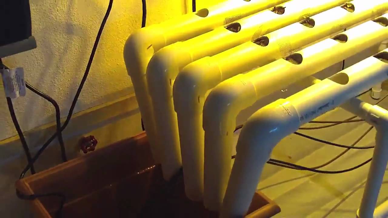 Hydroponic Garden Homemade PVC - YouTube
