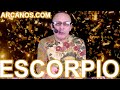 Video Horscopo Semanal ESCORPIO  del 29 Enero al 4 Febrero 2023 (Semana 2023-05) (Lectura del Tarot)