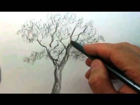 Рисовать дерево аэрографом Рисовать дерево аэрографом