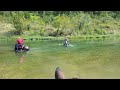 Horses swimming in Buffalo river