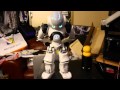 Nao Robot j2's simple Demo