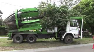 MÁQUINA QUE CONSEGUE MUDAR ÁRVORES DE FORMA MUITA RÁPIDA