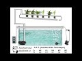 Hydroponics N.F.T (Nutrient Film Technique) system
