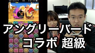 【パズドラ】アングリーバードコラボ超級にマックスむらい、31バステト×ホルスで挑む！