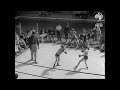 Babies Boxing Match