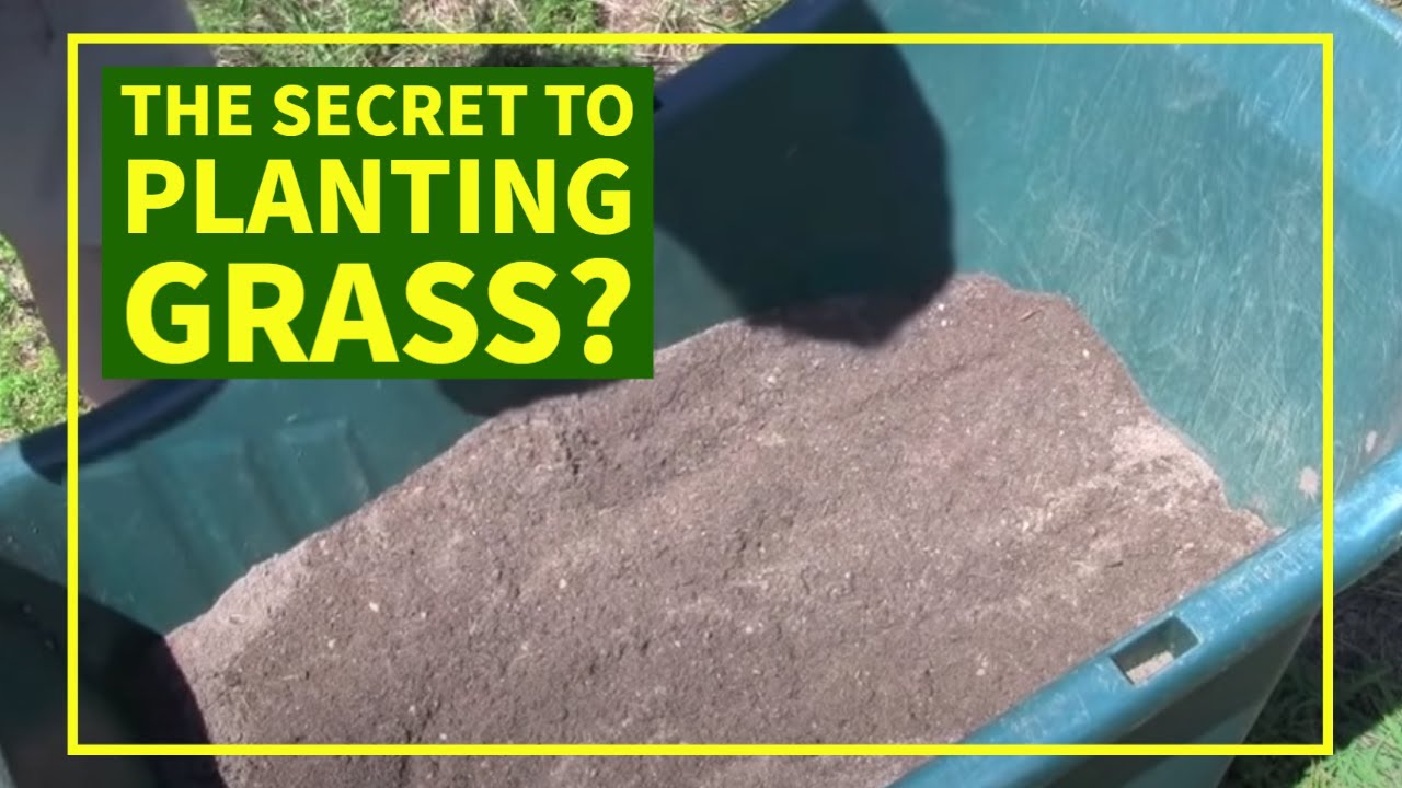 How To Plant Grass Seed Quickly and Easily YouTube