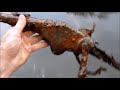 Metal Detecting Three Guns In One Day!
