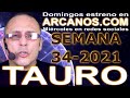 Video Horscopo Semanal TAURO  del 15 al 21 Agosto 2021 (Semana 2021-34) (Lectura del Tarot)
