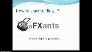 How to start trading ... Forex ? - Learn it FREE and FAST - www.afxants.com